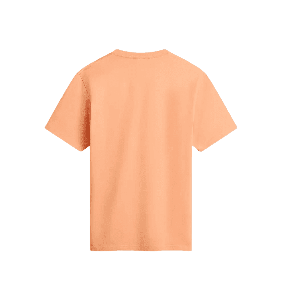 image 2 (65).png